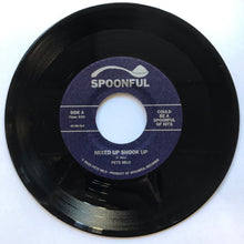 Load image into Gallery viewer, Pete Milo - Mixed Up Shook Up