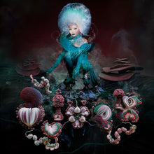 Load image into Gallery viewer, Bjork - Fossora
