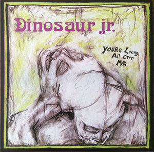 Dinosaur Jr - You’re Living All Over Me